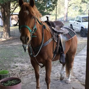 Meet your Posher, Kaley